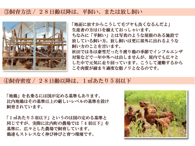 放し飼い比内地鶏の基準２