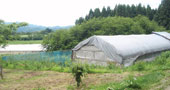渡辺比内地鶏ファーム