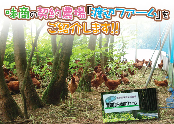 �褦��������ã�������Ϸ�����