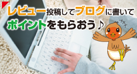 レビューを書いて、ブログを書いて、ポイントをもらおう!