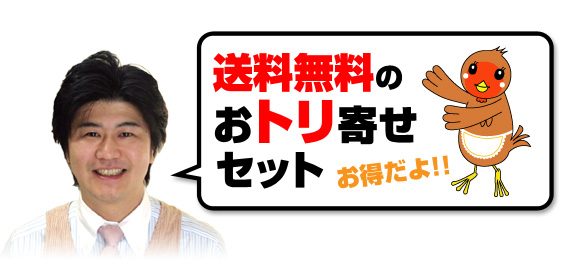 送料無料のおトリ寄せセット!