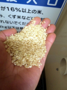 鶏塩や店長の日本一の比内地鶏ブログ-玄米です