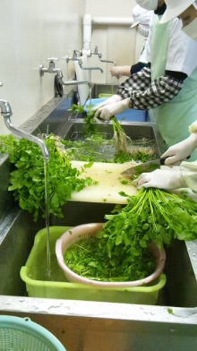 秋田の美味しい食べ方。比内地鶏ショップ名物店長の料理＆釣りブログ-秋田せり