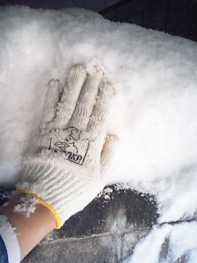 雪1